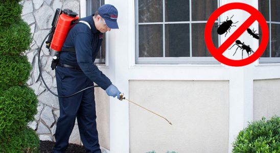 Gaziosmanpaşa Bit İlaçlama böcek ilaçlama ve haşere kontrolü — ilaclama-tr.com